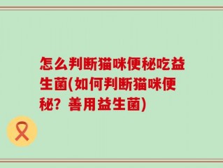 怎么判断猫咪便秘吃益生菌(如何判断猫咪便秘？善用益生菌)
