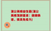 蒲公英根益生菌(蒲公英根发酵菌素：健康肠道，提高免疫力)