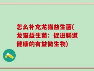 怎么补充龙猫益生菌(龙猫益生菌：促进肠道健康的有益微生物)