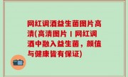 网红调酒益生菌图片高清(高清图片丨网红调酒中融入益生菌，颜值与健康皆有保证)