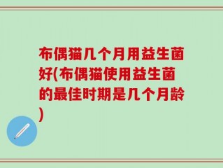 布偶猫几个月用益生菌好(布偶猫使用益生菌的最佳时期是几个月龄)
