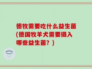 德牧需要吃什么益生菌(德国牧羊犬需要摄入哪些益生菌？)