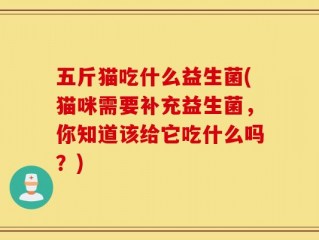 五斤猫吃什么益生菌(猫咪需要补充益生菌，你知道该给它吃什么吗？)
