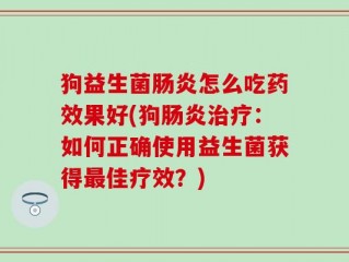 狗益生菌肠炎怎么吃药效果好(狗肠炎治疗：如何正确使用益生菌获得最佳疗效？)