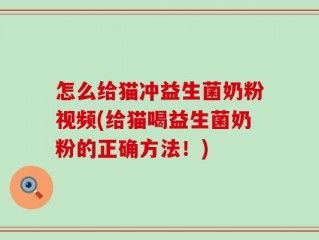 怎么给猫冲益生菌奶粉视频(给猫喝益生菌奶粉的正确方法！)