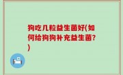 狗吃几粒益生菌好(如何给狗狗补充益生菌？)