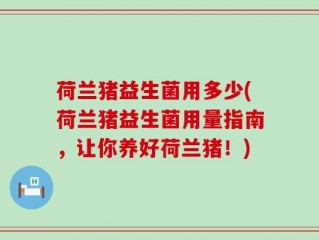 荷兰猪益生菌用多少(荷兰猪益生菌用量指南，让你养好荷兰猪！)