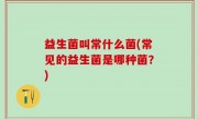 益生菌叫常什么菌(常见的益生菌是哪种菌？)