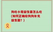 狗吃小宠益生菌怎么吃(如何正确给狗狗补充益生菌？)