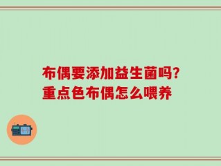 布偶要添加益生菌吗？重点色布偶怎么喂养