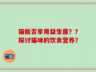 猫能否享用益生菌？？探讨猫咪的饮食营养？