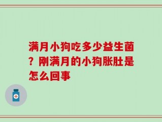 满月小狗吃多少益生菌？刚满月的小狗胀肚是怎么回事