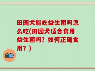 田园犬能吃益生菌吗怎么吃(田园犬适合食用益生菌吗？如何正确食用？)