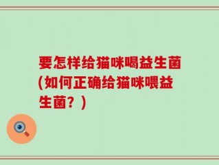 要怎样给猫咪喝益生菌(如何正确给猫咪喂益生菌？)