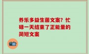 养乐多益生菌文案？忙碌一天结束了正能量的简短文案