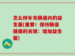 怎么样补充肠道内的益生菌(重要！保持肠道健康的关键：增加益生菌)
