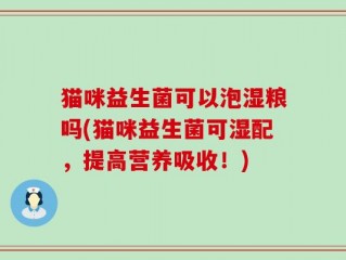 猫咪益生菌可以泡湿粮吗(猫咪益生菌可湿配，提高营养吸收！)