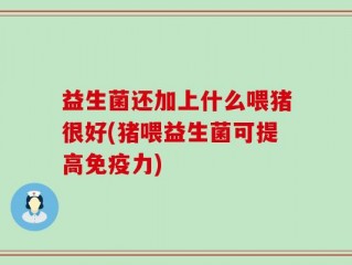 益生菌还加上什么喂猪很好(猪喂益生菌可提高免疫力)