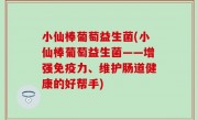 小仙棒葡萄益生菌(小仙棒葡萄益生菌——增强免疫力、维护肠道健康的好帮手)