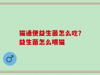 猫通便益生菌怎么吃？益生菌怎么喂猫