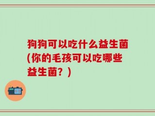 狗狗可以吃什么益生菌(你的毛孩可以吃哪些益生菌？)
