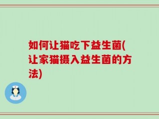 如何让猫吃下益生菌(让家猫摄入益生菌的方法)