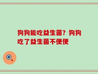 狗狗能吃益生菌？狗狗吃了益生菌不便便