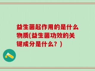 益生菌起作用的是什么物质(益生菌功效的关键成分是什么？)
