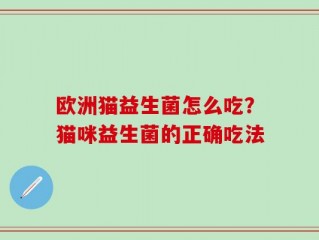 欧洲猫益生菌怎么吃？猫咪益生菌的正确吃法
