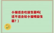 小猫适合吃益生菌吗(适不适合给小猫喂益生菌？)