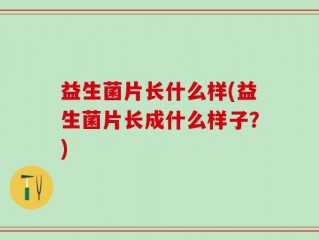 益生菌片长什么样(益生菌片长成什么样子？)