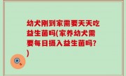 幼犬刚到家需要天天吃益生菌吗(家养幼犬需要每日摄入益生菌吗？)