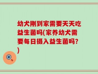 幼犬刚到家需要天天吃益生菌吗(家养幼犬需要每日摄入益生菌吗？)