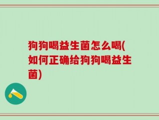 狗狗喝益生菌怎么喝(如何正确给狗狗喝益生菌)