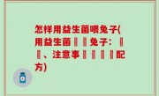 怎样用益生菌喂兔子(用益生菌餵養兔子：優點、注意事項與適當配方)