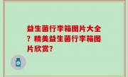 益生菌行李箱图片大全？精美益生菌行李箱图片欣赏？