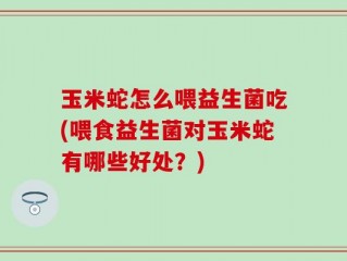 玉米蛇怎么喂益生菌吃(喂食益生菌对玉米蛇有哪些好处？)