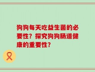 狗狗每天吃益生菌的必要性？探究狗狗肠道健康的重要性？
