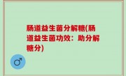肠道益生菌分解糖(肠道益生菌功效：助分解糖分)