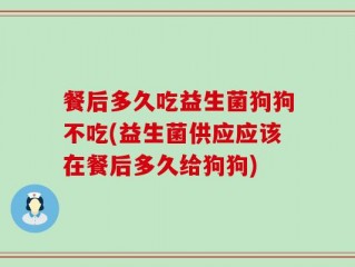 餐后多久吃益生菌狗狗不吃(益生菌供应应该在餐后多久给狗狗)