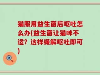 猫服用益生菌后呕吐怎么办(益生菌让猫咪不适？这样缓解呕吐即可)