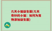 几天小猫益生菌(几天奇妙的小猫：如何为宠物添加益生菌)