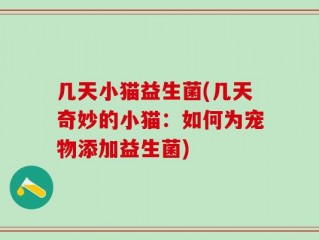 几天小猫益生菌(几天奇妙的小猫：如何为宠物添加益生菌)