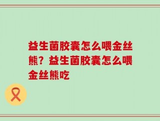 益生菌胶囊怎么喂金丝熊？益生菌胶囊怎么喂金丝熊吃