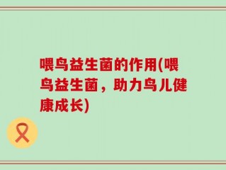 喂鸟益生菌的作用(喂鸟益生菌，助力鸟儿健康成长)