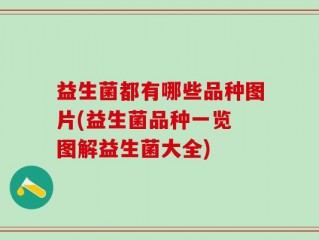 益生菌都有哪些品种图片(益生菌品种一览 图解益生菌大全)