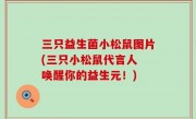 三只益生菌小松鼠图片(三只小松鼠代言人 唤醒你的益生元！)