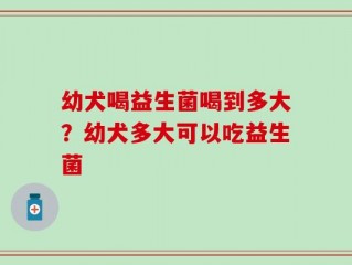 幼犬喝益生菌喝到多大？幼犬多大可以吃益生菌