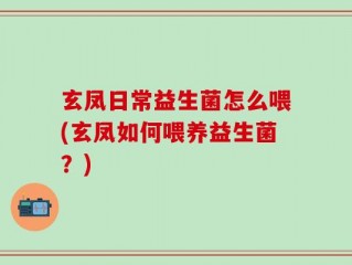 玄凤日常益生菌怎么喂(玄凤如何喂养益生菌？)