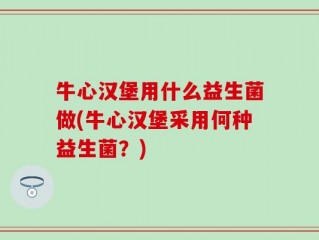 牛心汉堡用什么益生菌做(牛心汉堡采用何种益生菌？)